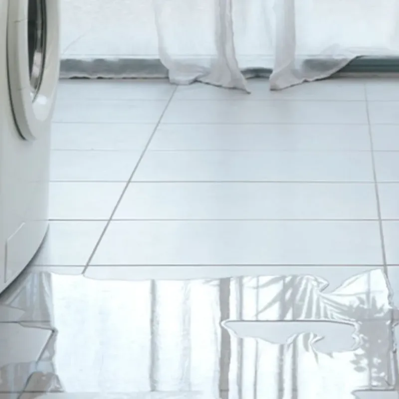 Appliance Leak Cleanup in Mechanicsville, IA