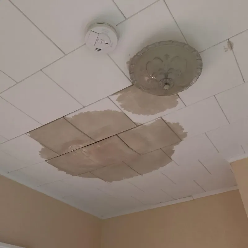 Ceiling Water Damage Repair in Mechanicsville, IA