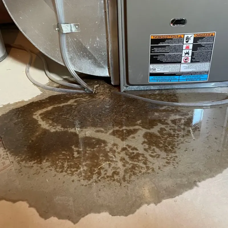 Pipe Burst and Leak Restoration in Mechanicsville, IA