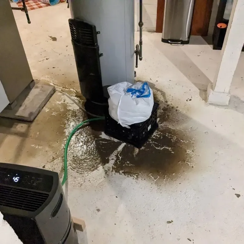 Sewage Backup Cleanup Service in Mechanicsville, IA